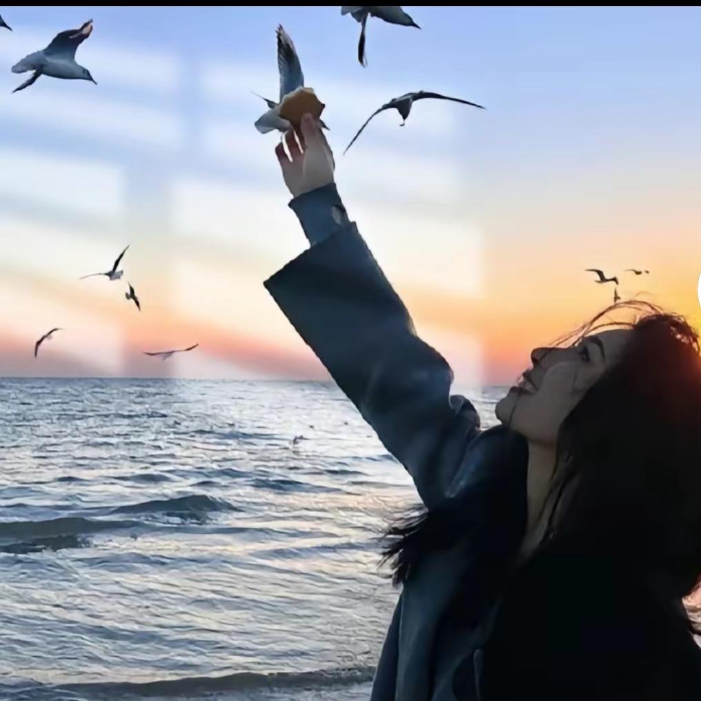 🔆。