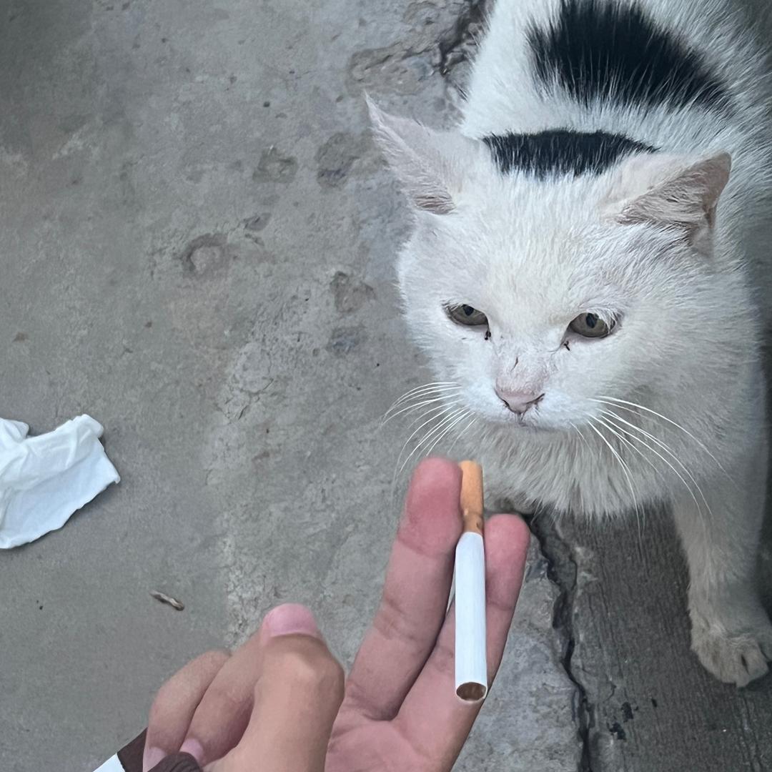 孬闷！！