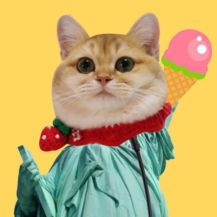大毛毛养猫日记🍓