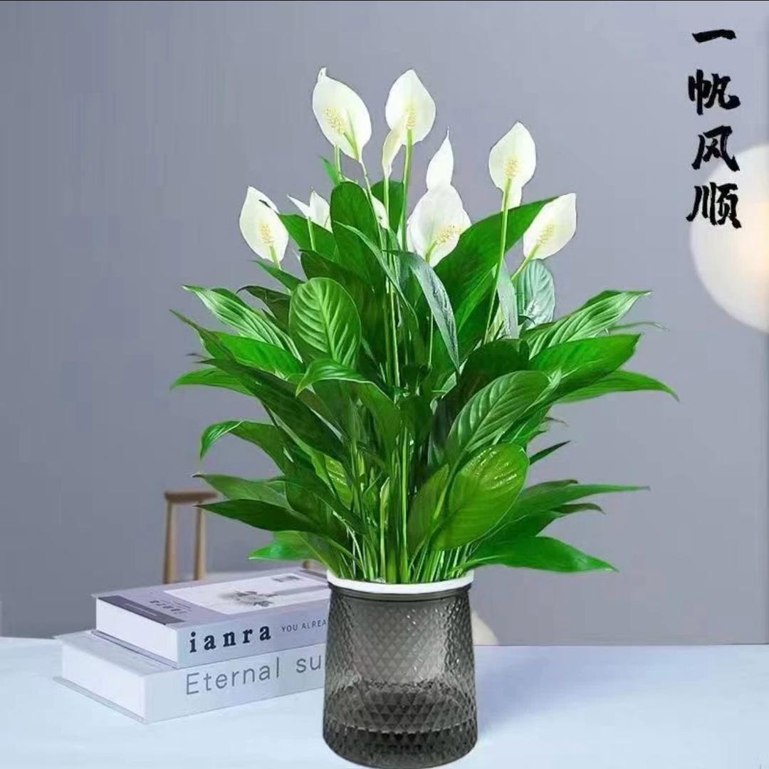贵州人在北京专业承接保洁业务