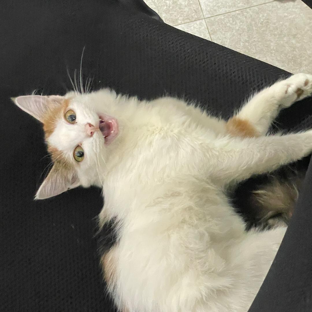 亿富