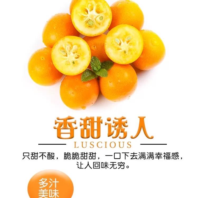 立日臻选屋