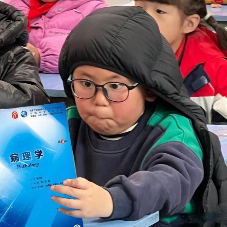 没了🐶