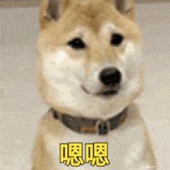 小鱼不吃鱼1