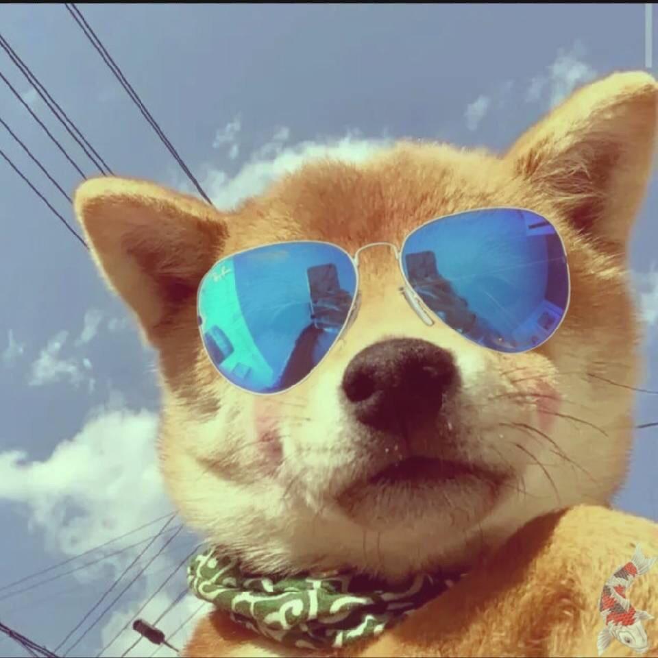 单手开法拉利