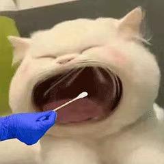 顺势而为…
