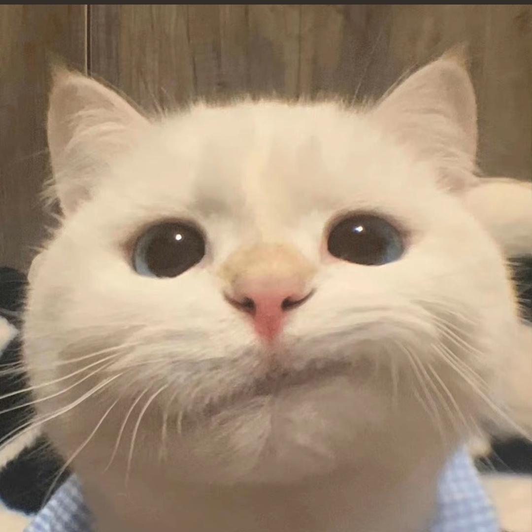 超级菠萝