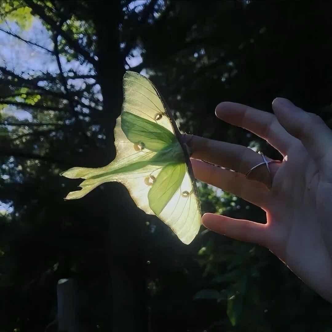 朵朵朵朵朵