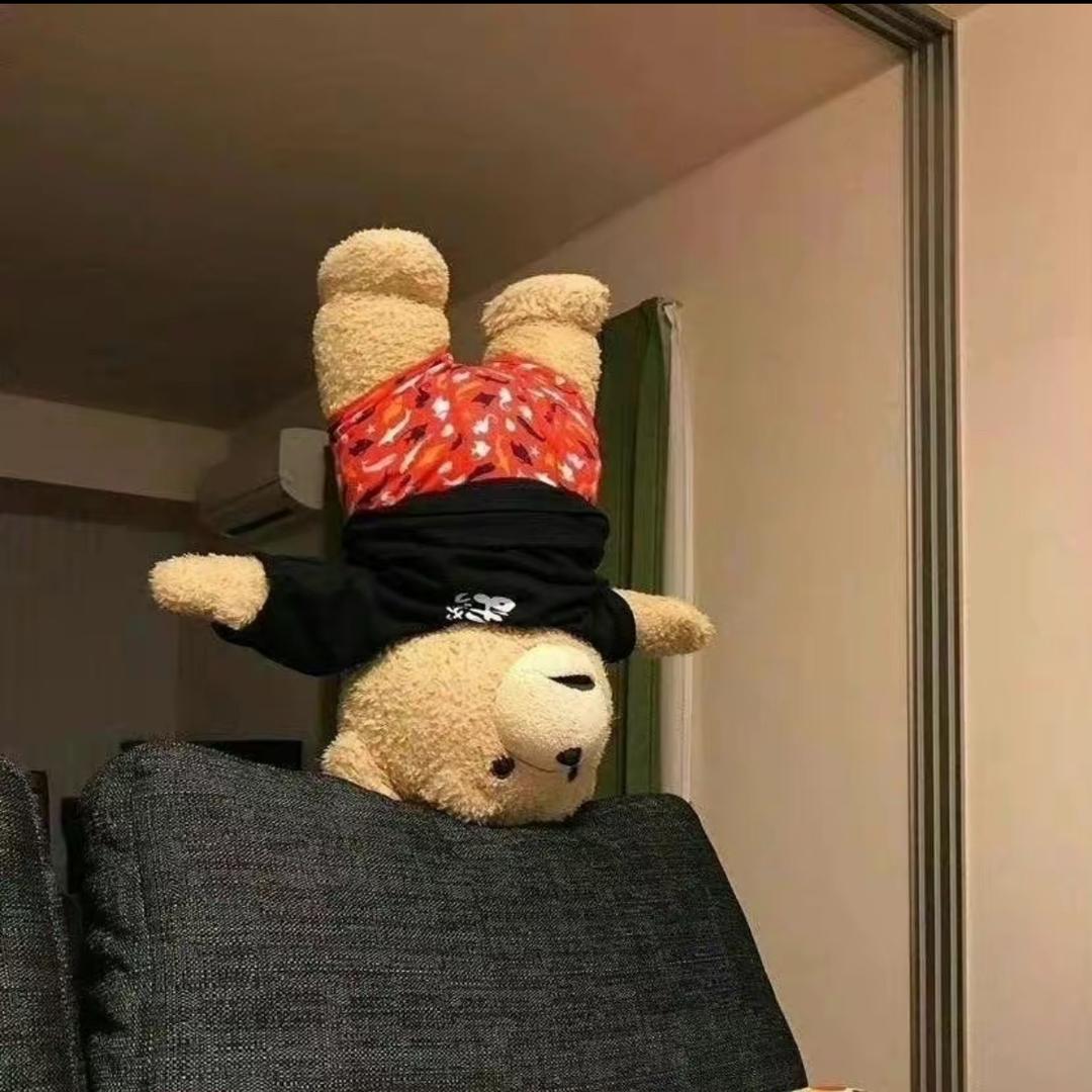 小熊爱吃巧克力