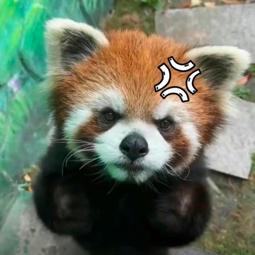 好好好起来嗨(见过邓紫棋，许嵩版）