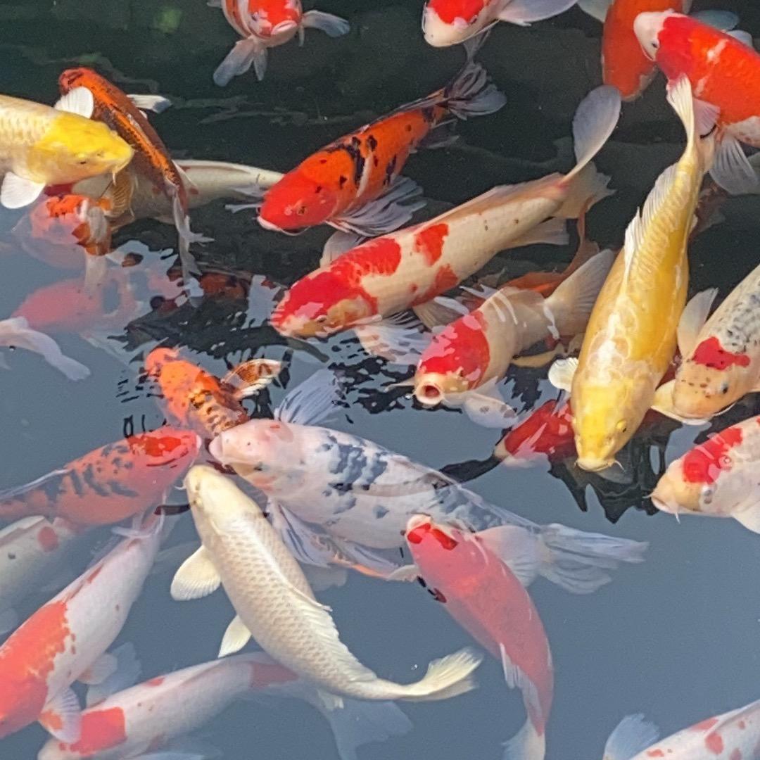 快乐宝贝小虫虫