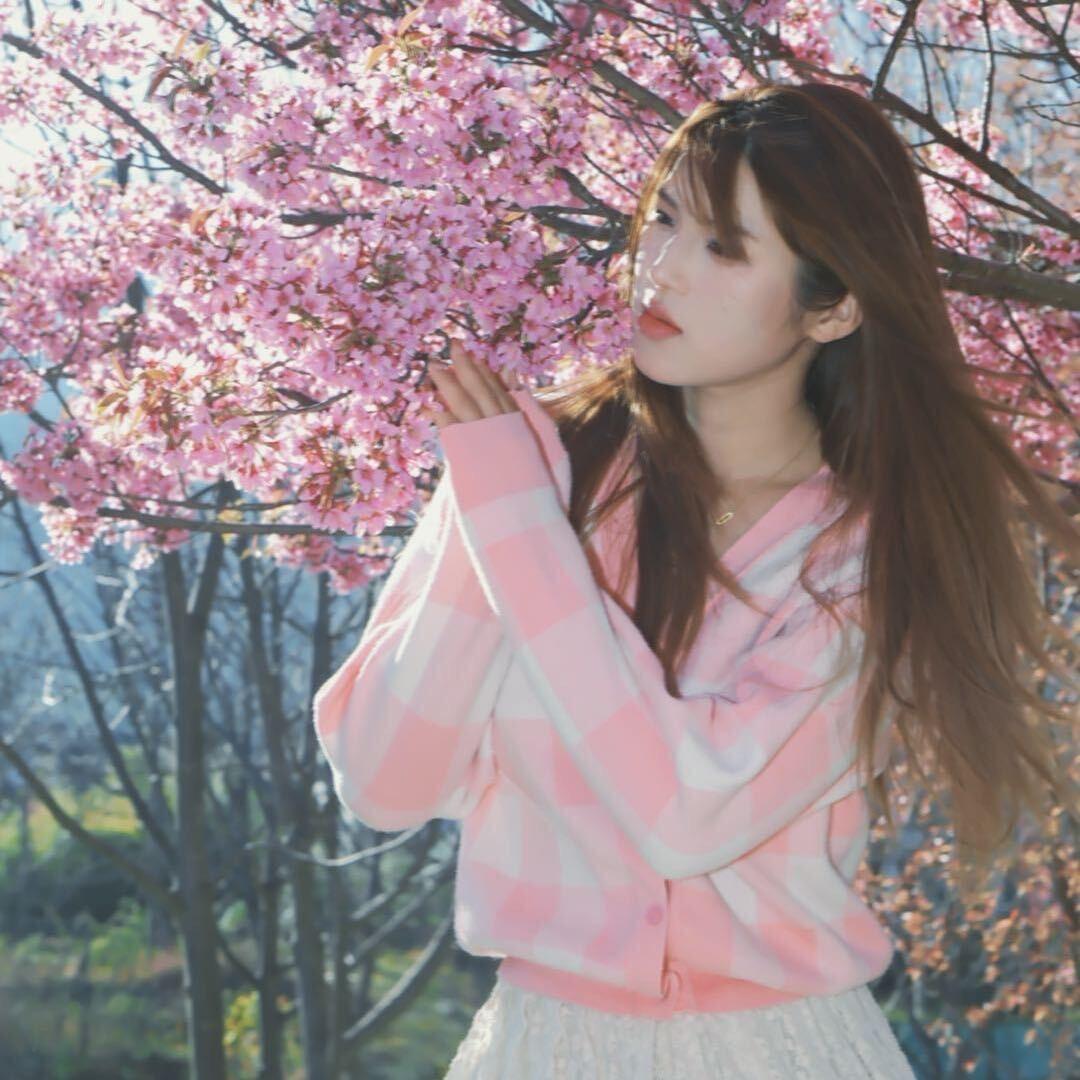 一只白小白（约拍📷