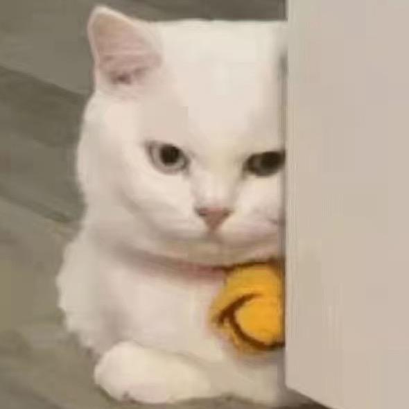 猪猪妹🐷