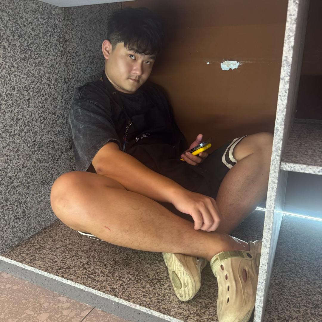 诡计多端的黄毛
