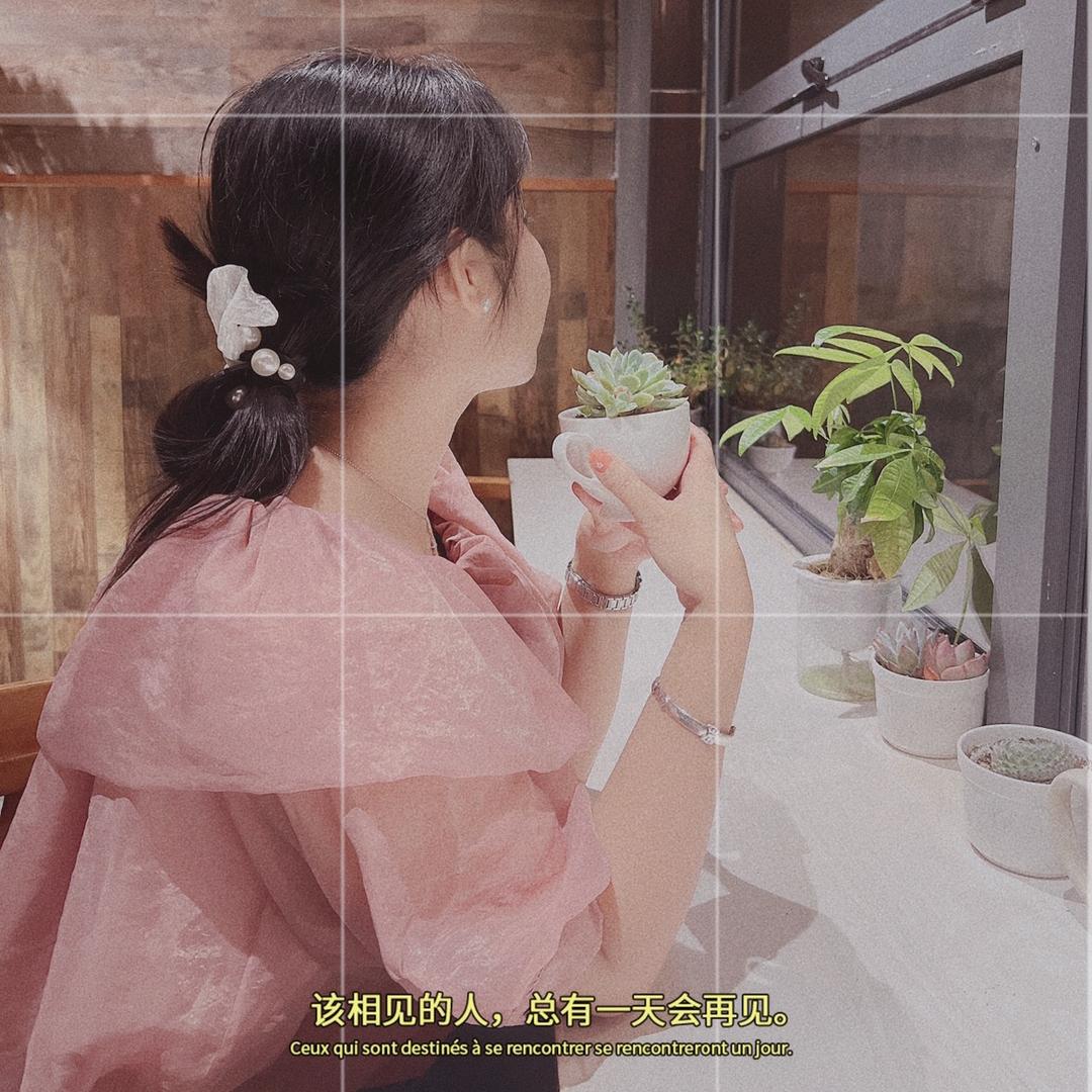 韦妮