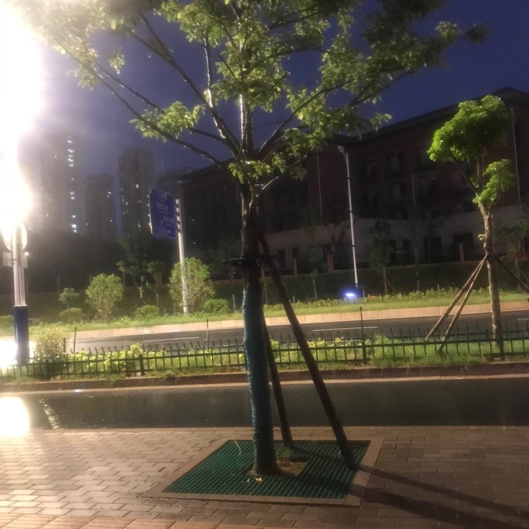 开心果