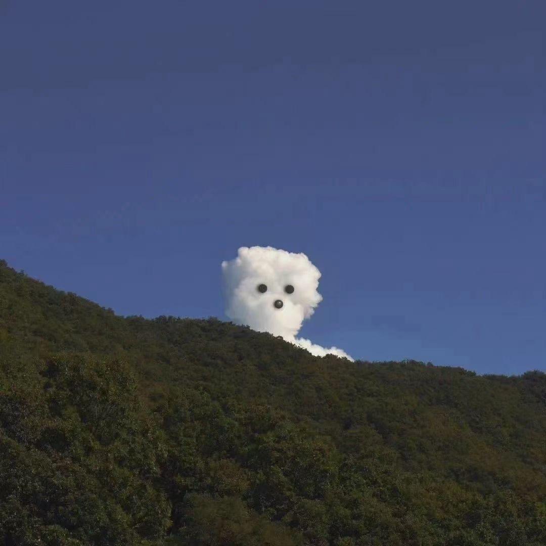 海底捞个欣欣