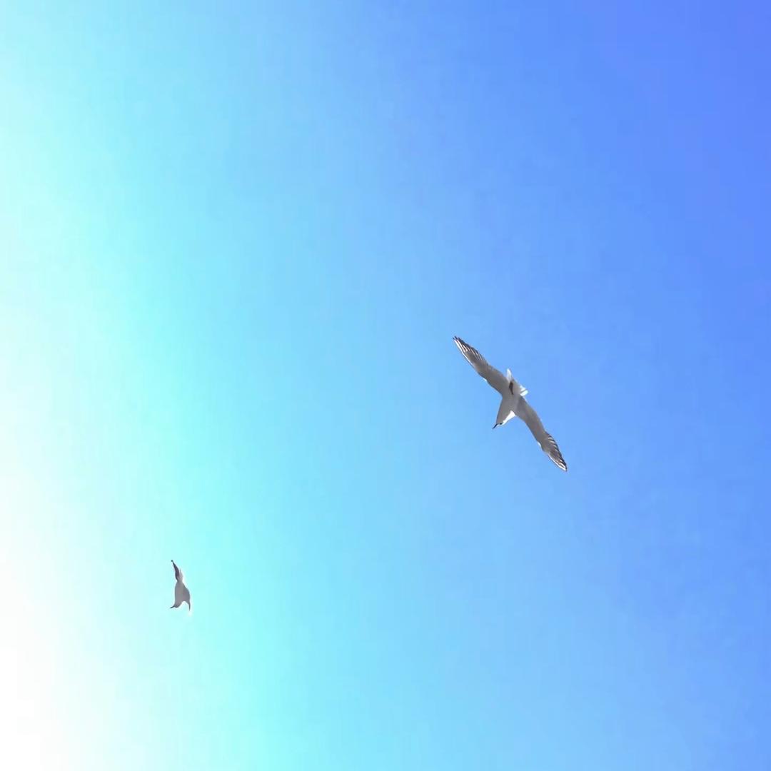眉头皱巴巴