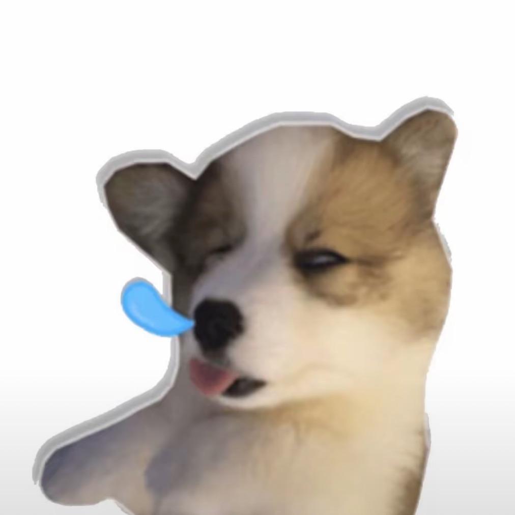 杨哈哈
