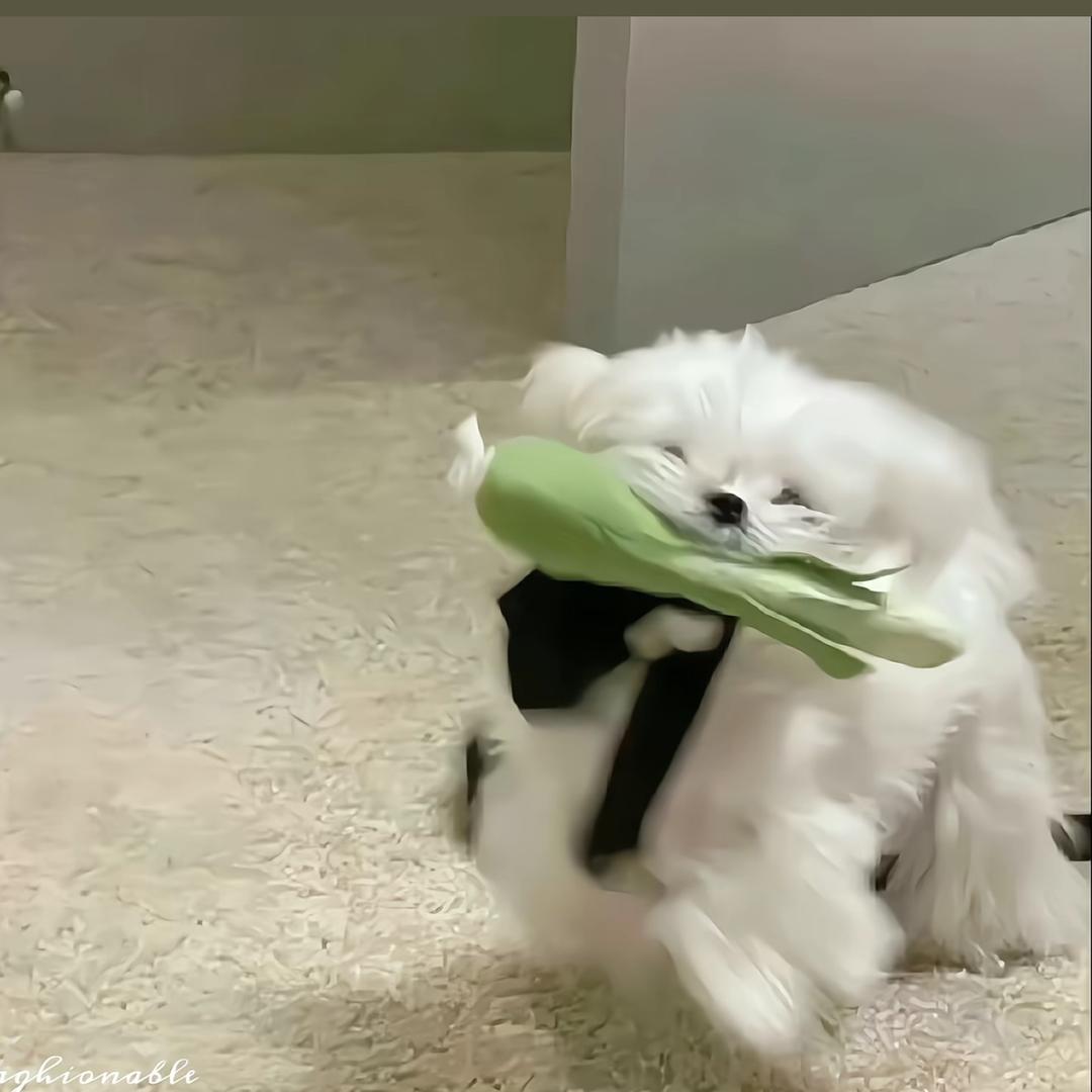 莓好时光头像