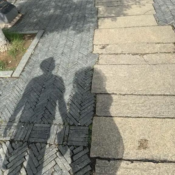 文三月
