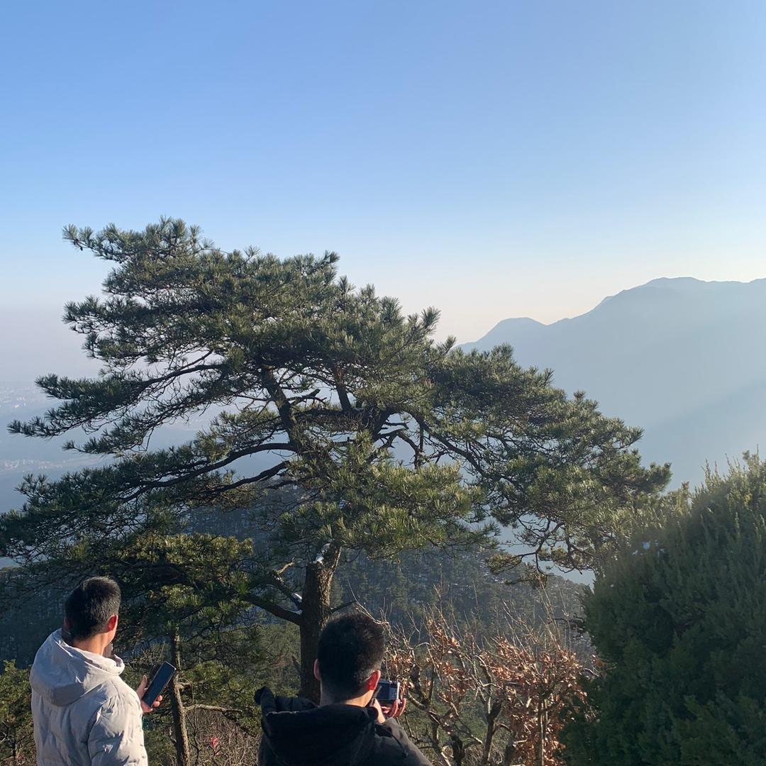 正品处理