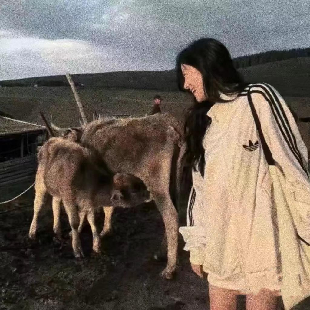 张张自喜-