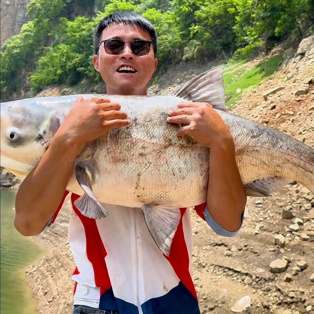 臭豆腐钓鱼记🎣鲢鳙
