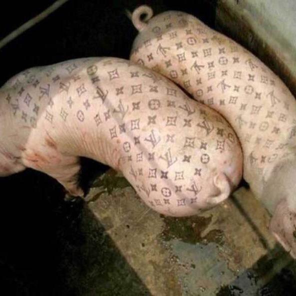 %@¥¥@@哦哦哦哦哦