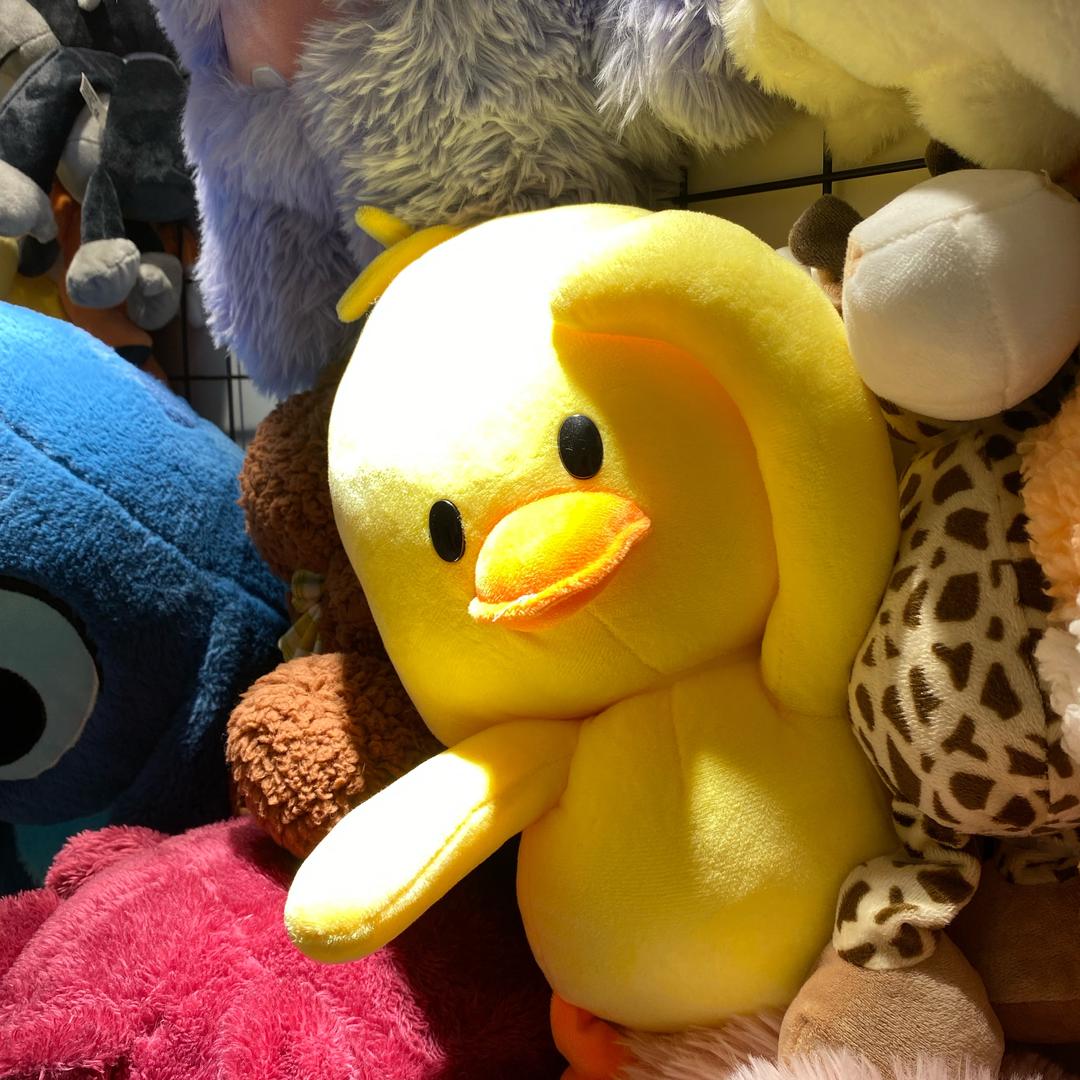 致心绘美术培训