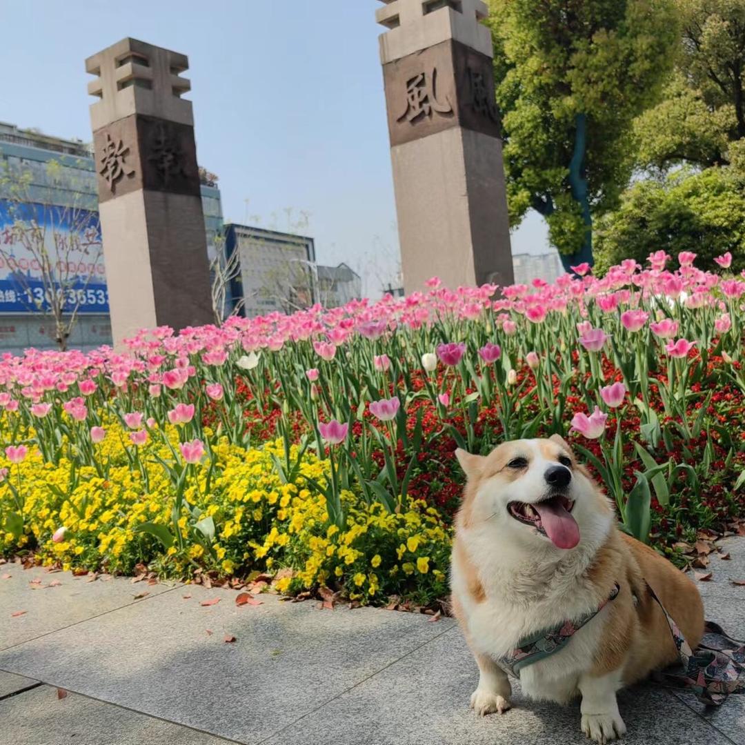 心中有信仰