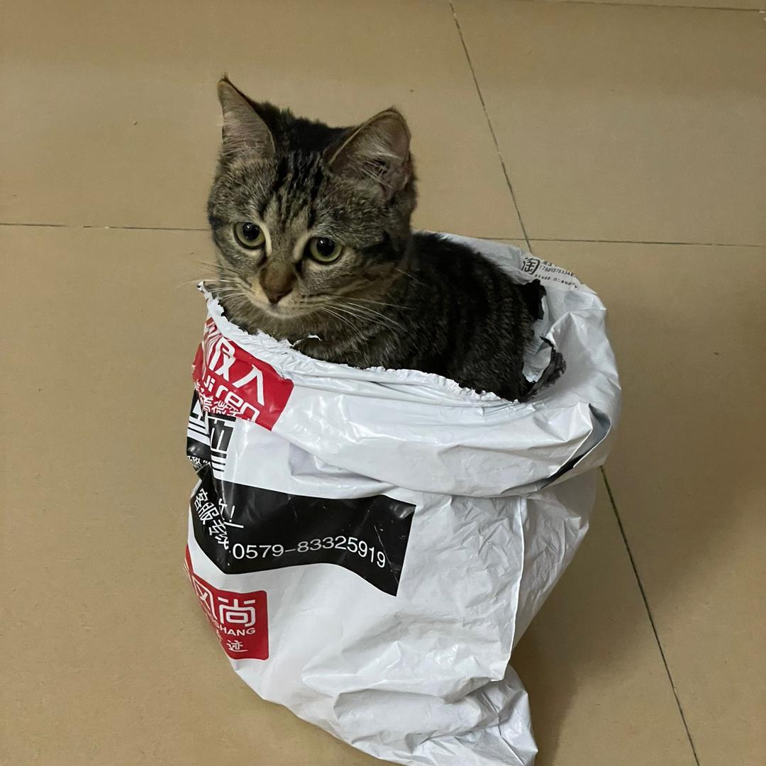 海口湾听歌的小白