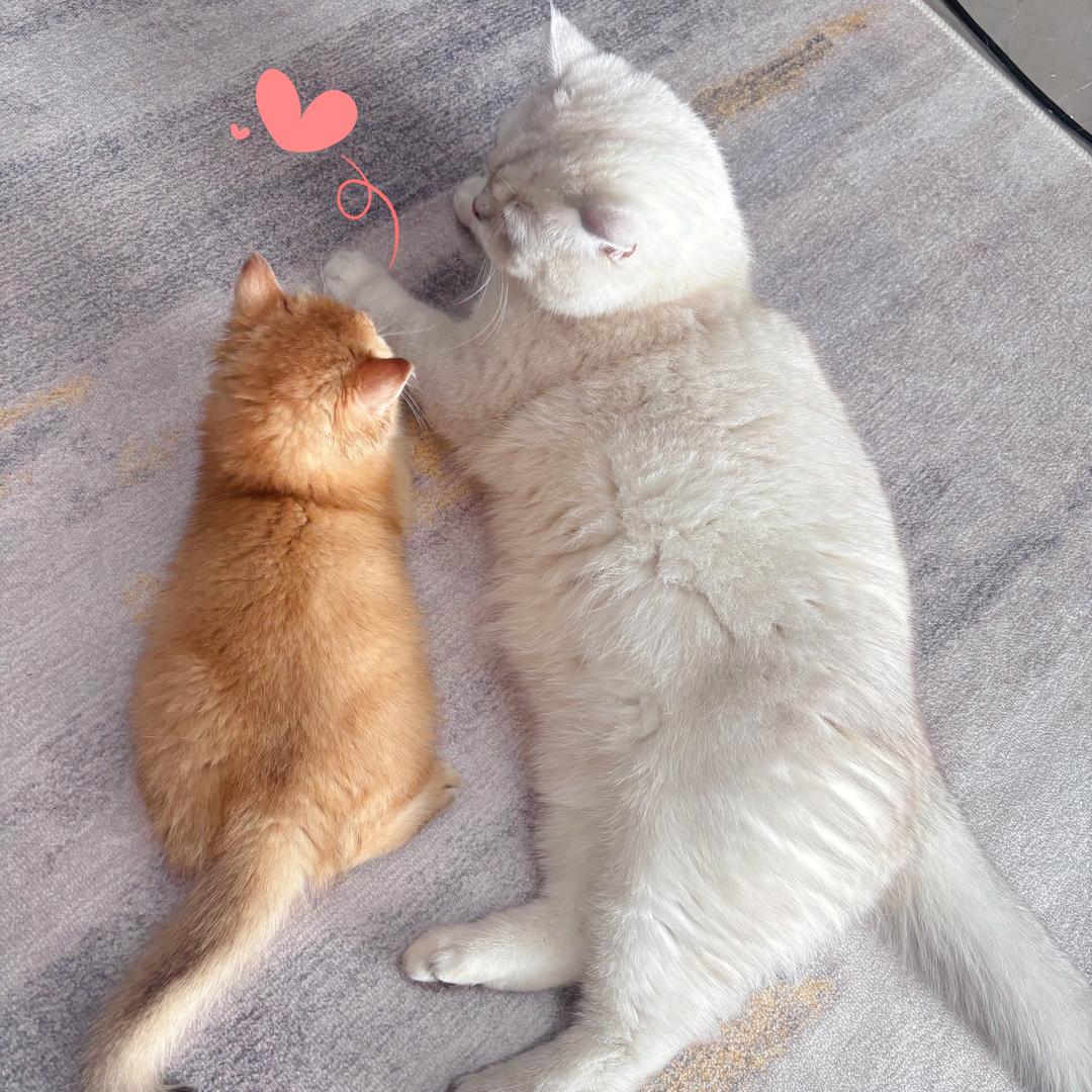 木头哥哥🌟 ⁹²³⁰