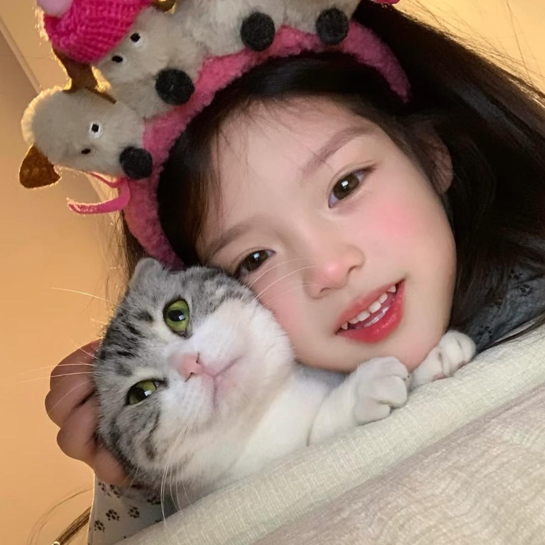 小岛来信