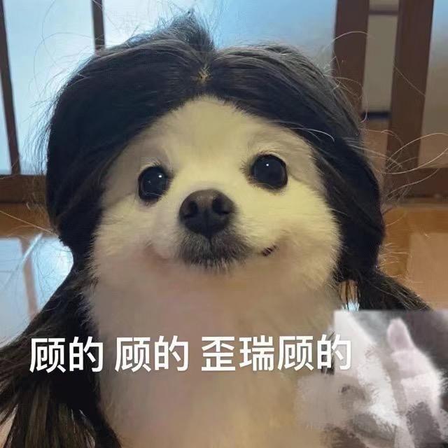 ⛰️青山啵啵儿⛰️