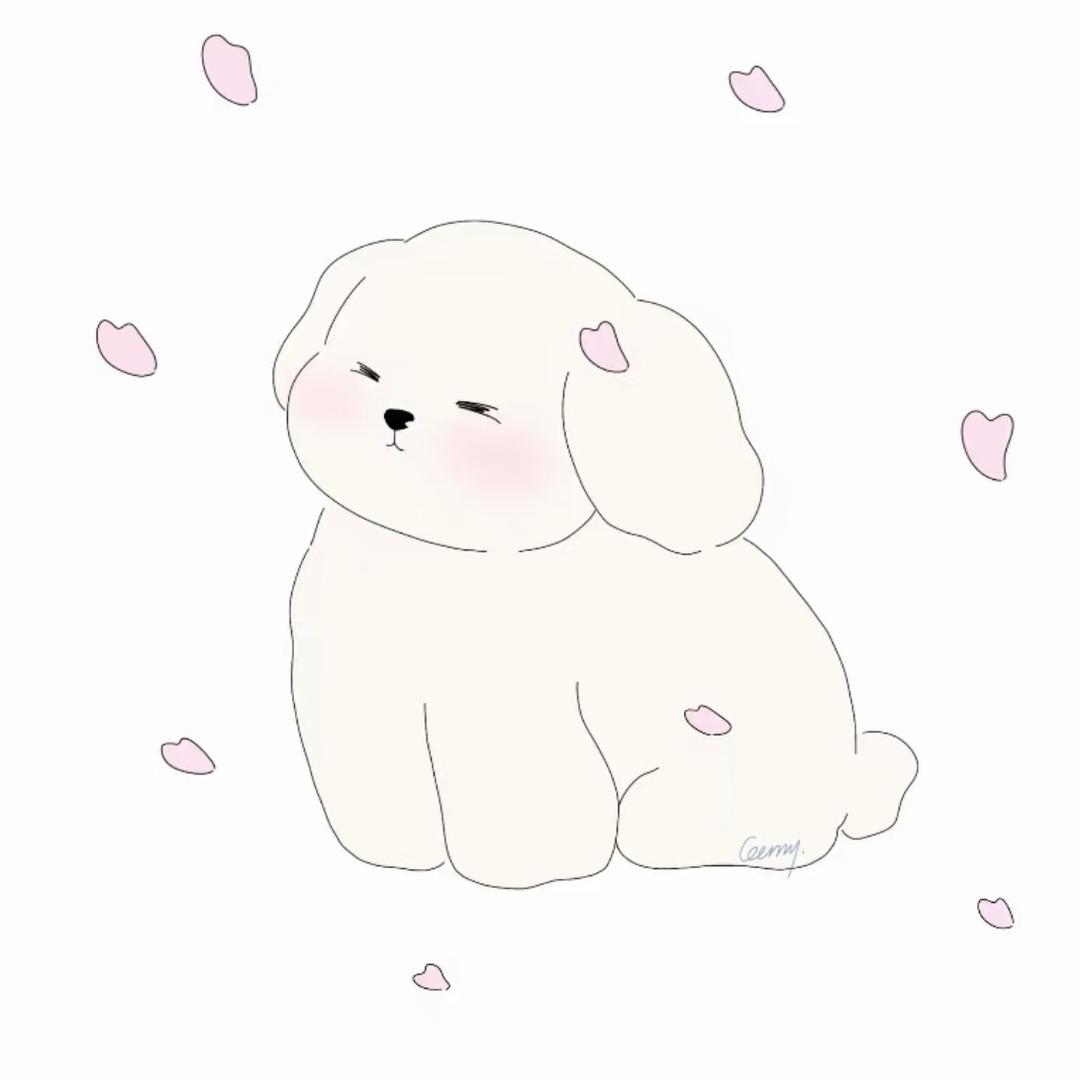 赵露思^