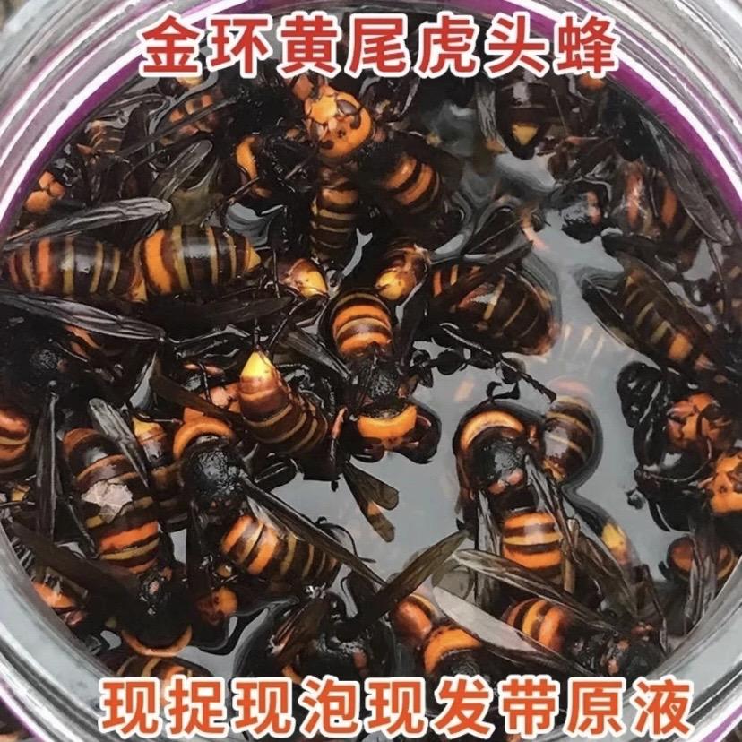 马蜂突击队（金环爆护）
