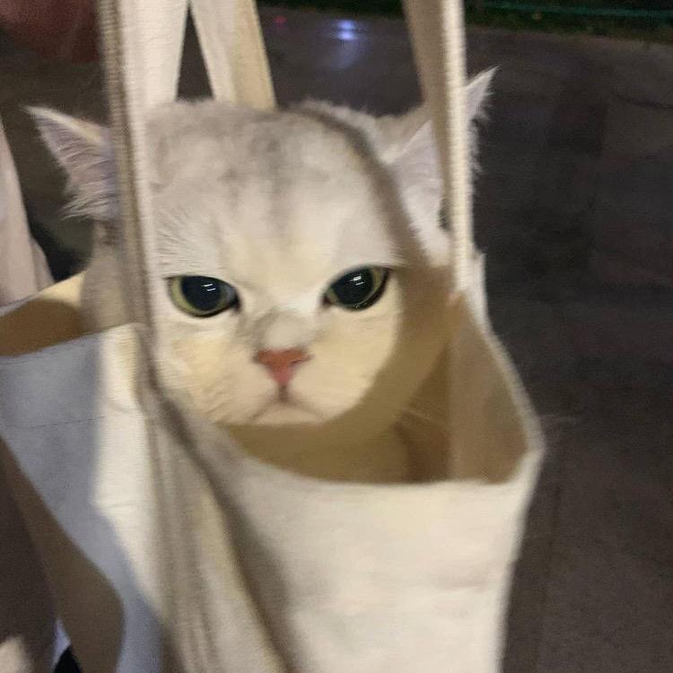 银河系整活大总统