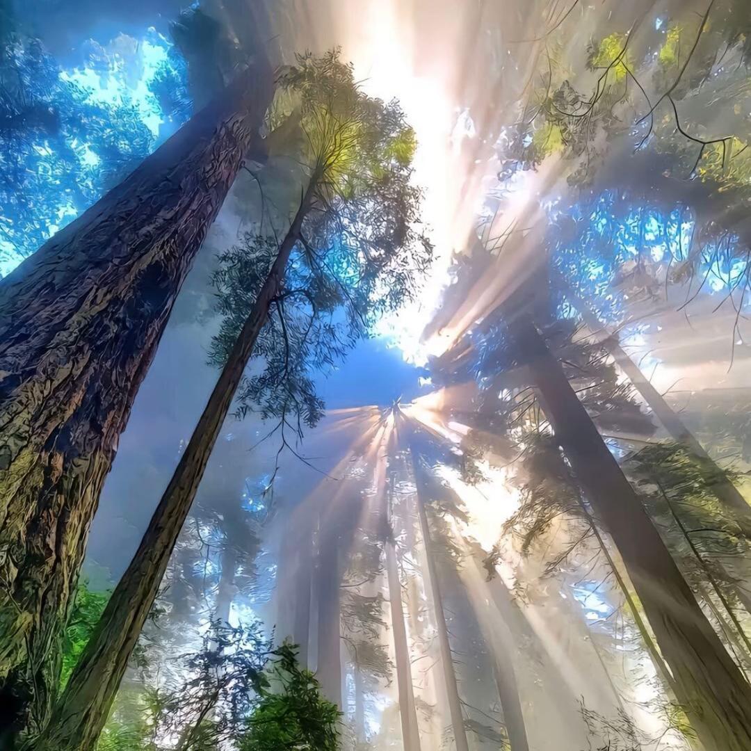 乾东来超市台球棋牌官方号