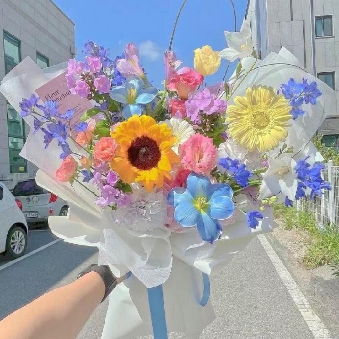 凉凉爱分享❤️
