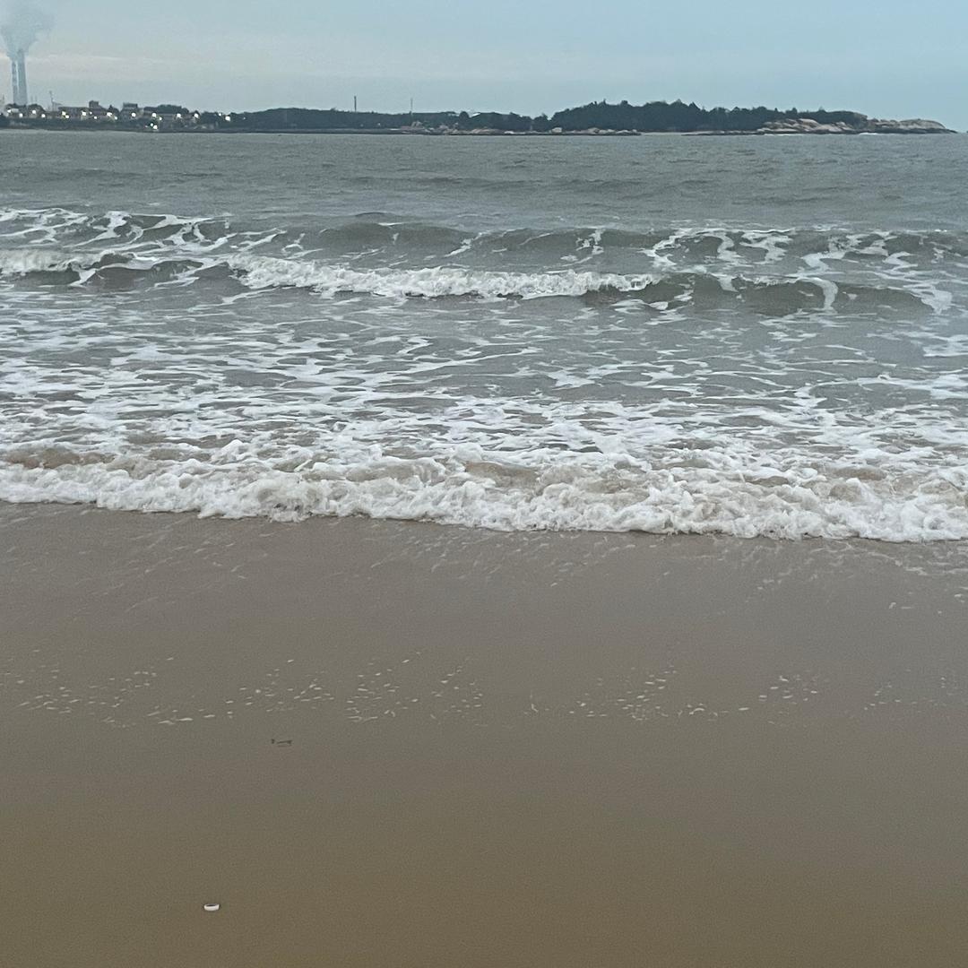 棉