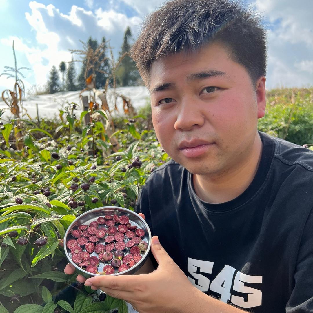 涛仔在寻味
