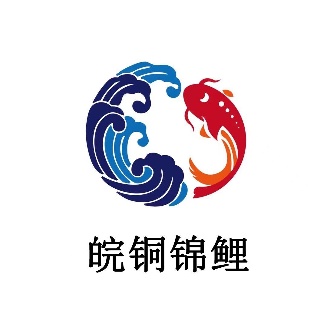 皖铜锦鲤（Z先生）