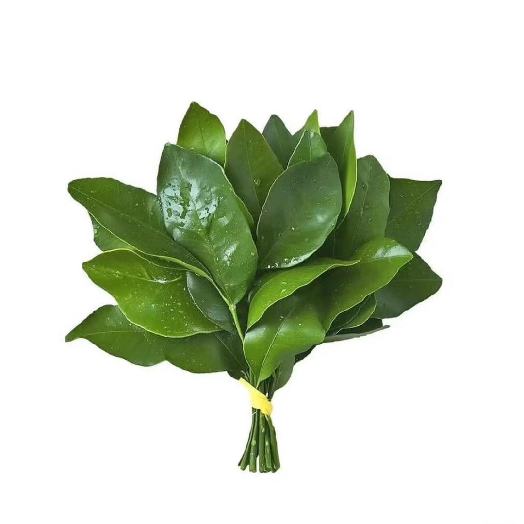 黑魔仙