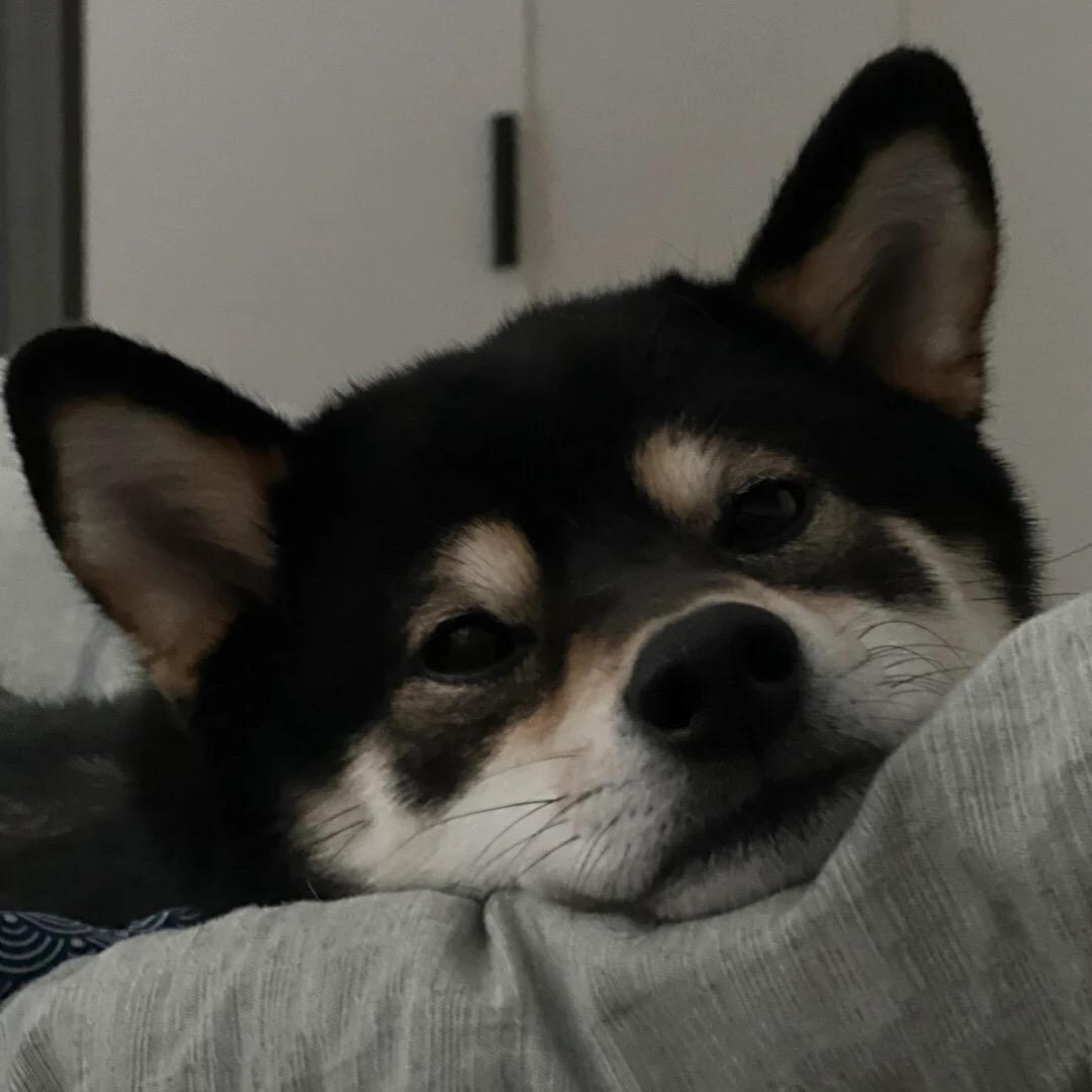 200斤细狗🐶（沉淀版）