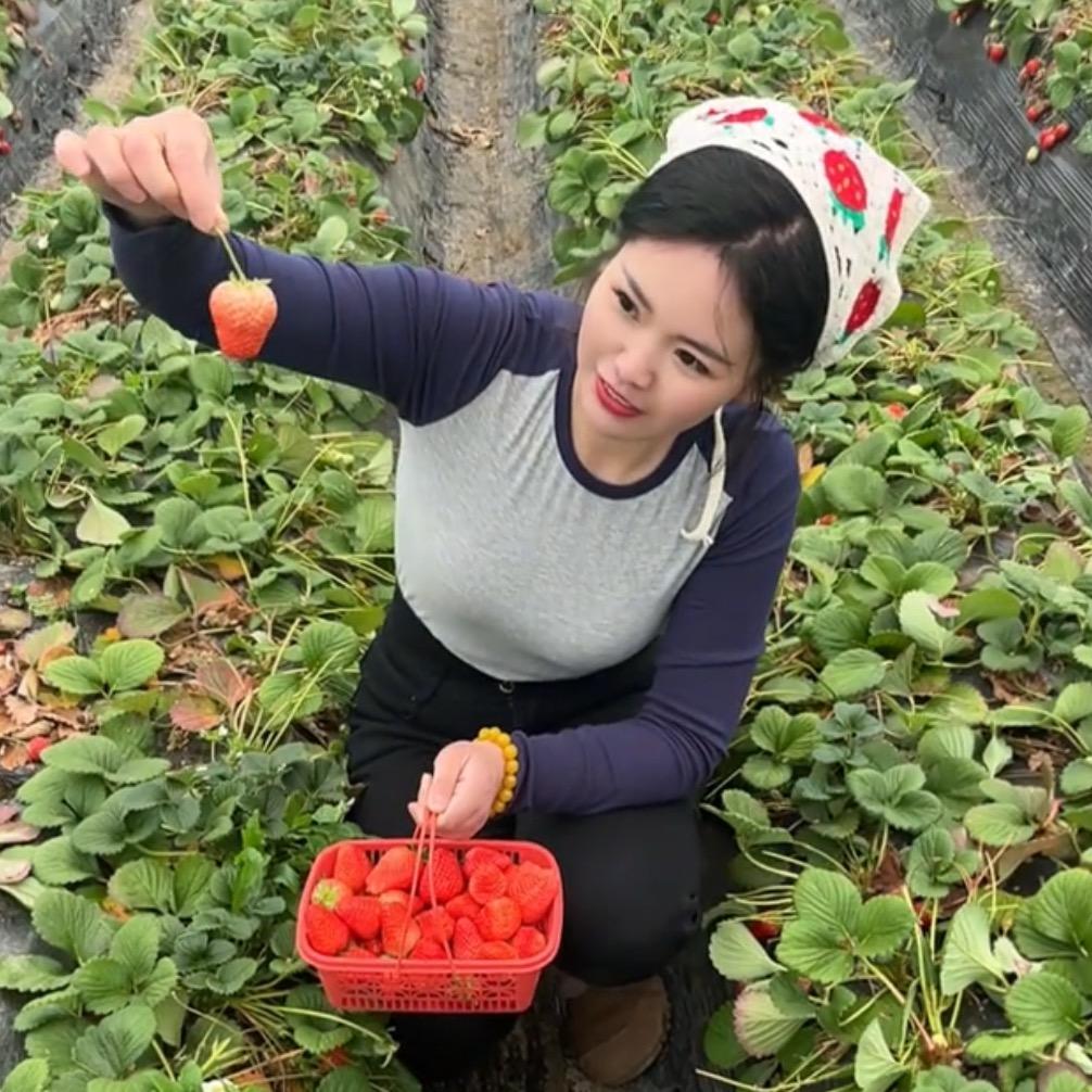 铁锤妹🍓（李氏生态采摘园）
