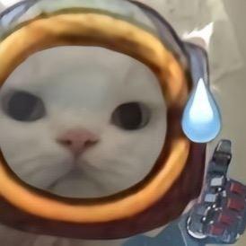 冷漠又给鸟