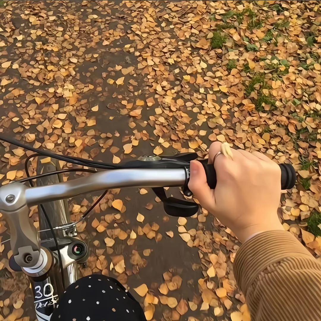 龚一飞