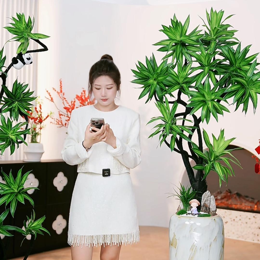 此間春色Plants