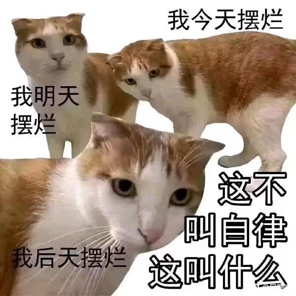 伊丽莎白巴雷特